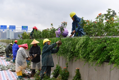 AG8�콢����(�й�)������ҳ