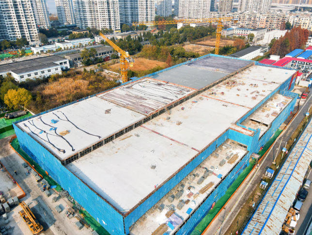 1735637089154413.jpg 01.jpg