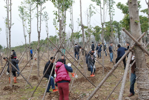 AG8�콢����(�й�)������ҳ