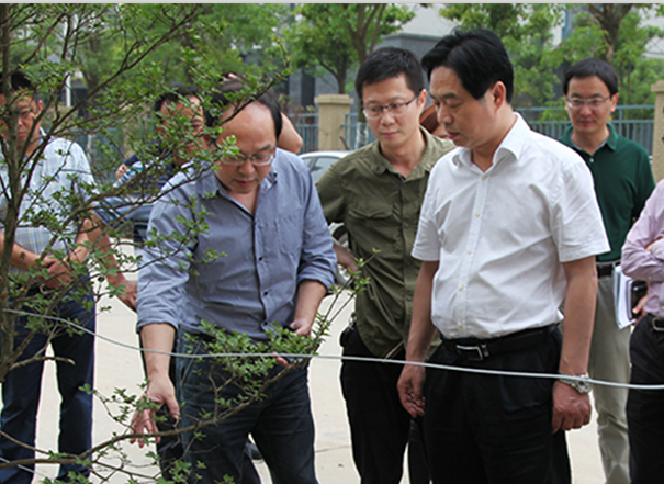 AG8�콢����(�й�)������ҳ