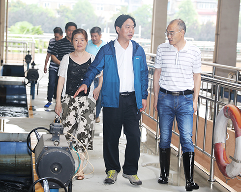 AG8旗舰厅·(中国)集团首页