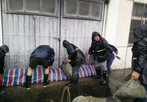 AG8�콢����(�й�)������ҳ