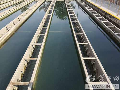 AG8Æì½¢Ìü¡¤(Öйú)¼¯ÍÅÊ×Ò³