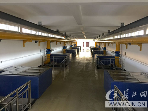 AG8Æì½¢Ìü¡¤(Öйú)¼¯ÍÅÊ×Ò³