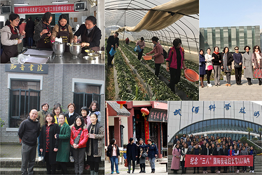 AG8Æì½¢Ìü¡¤(Öйú)¼¯ÍÅÊ×Ò³