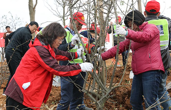 AG8�콢����(�й�)������ҳ