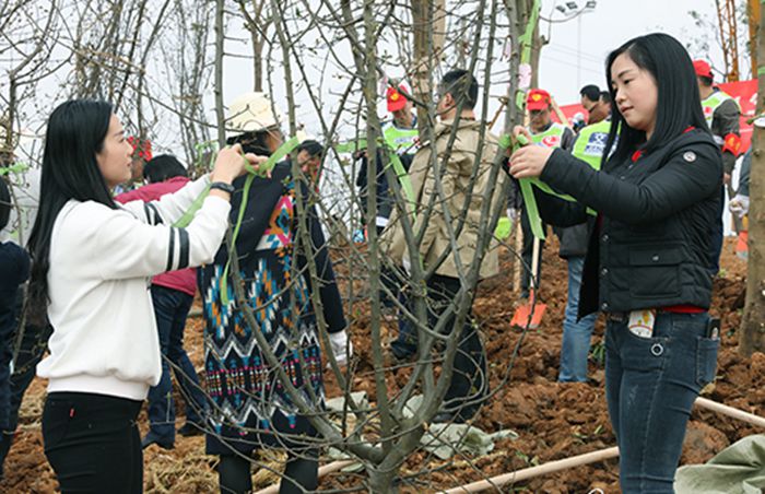 AG8�콢����(�й�)������ҳ