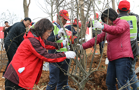 AG8�콢����(�й�)������ҳ