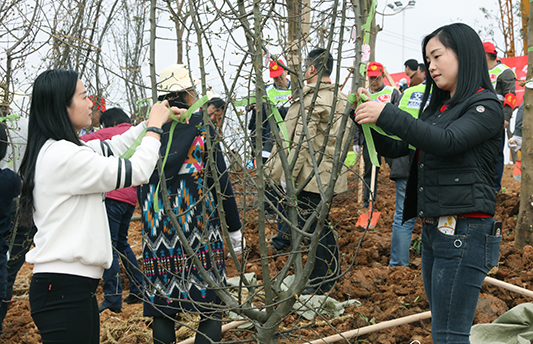 AG8�콢����(�й�)������ҳ