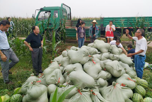 AG8�콢����(�й�)������ҳ