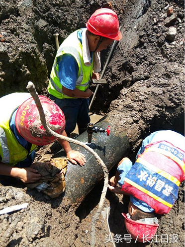 AG8�콢����(�й�)������ҳ