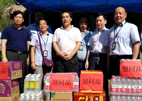 AG8�콢����(�й�)������ҳ