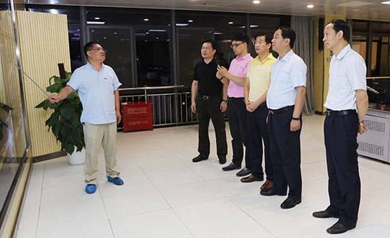 AG8�콢����(�й�)������ҳ