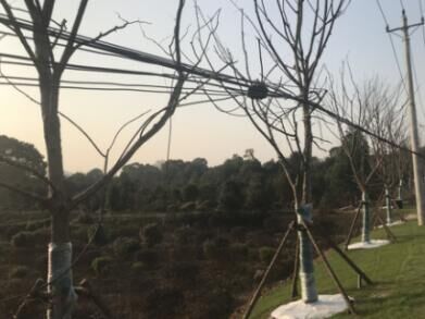 AG8�콢����(�й�)������ҳ