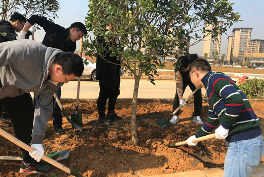 AG8�콢����(�й�)������ҳ