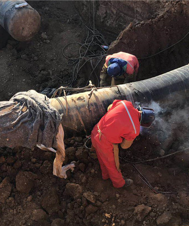 AG8�콢����(�й�)������ҳ