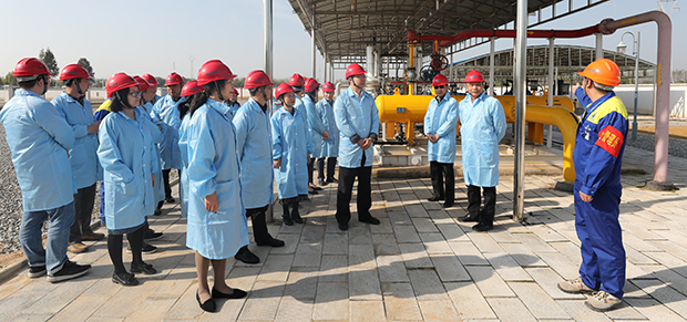 AG8Æì½¢Ìü¡¤(Öйú)¼¯ÍÅÊ×Ò³