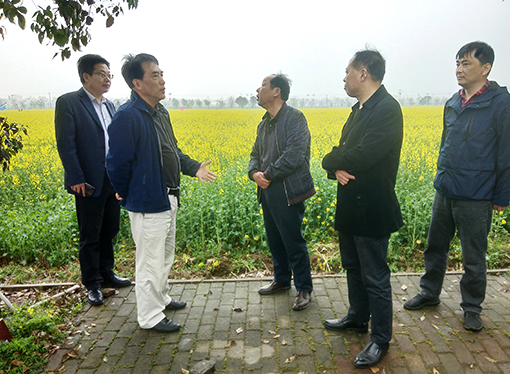 AG8�콢����(�й�)������ҳ