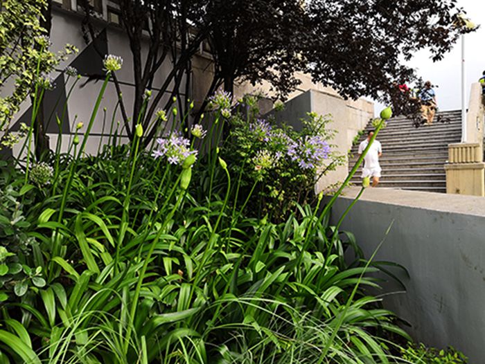 AG8�콢����(�й�)������ҳ