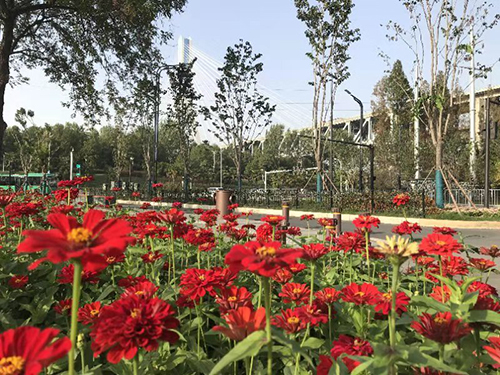 AG8�콢����(�й�)������ҳ