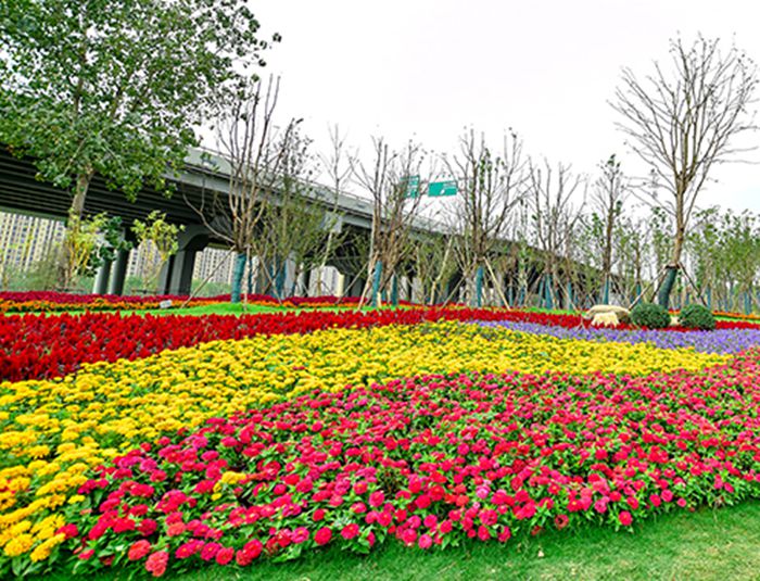 AG8Æì½¢Ìü¡¤(Öйú)¼¯ÍÅÊ×Ò³