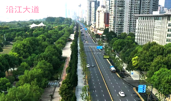 AG8�콢����(�й�)������ҳ