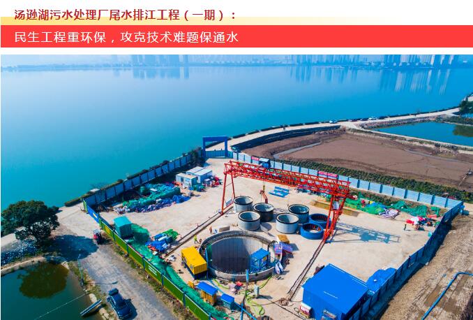 AG8Æì½¢Ìü¡¤(Öйú)¼¯ÍÅÊ×Ò³